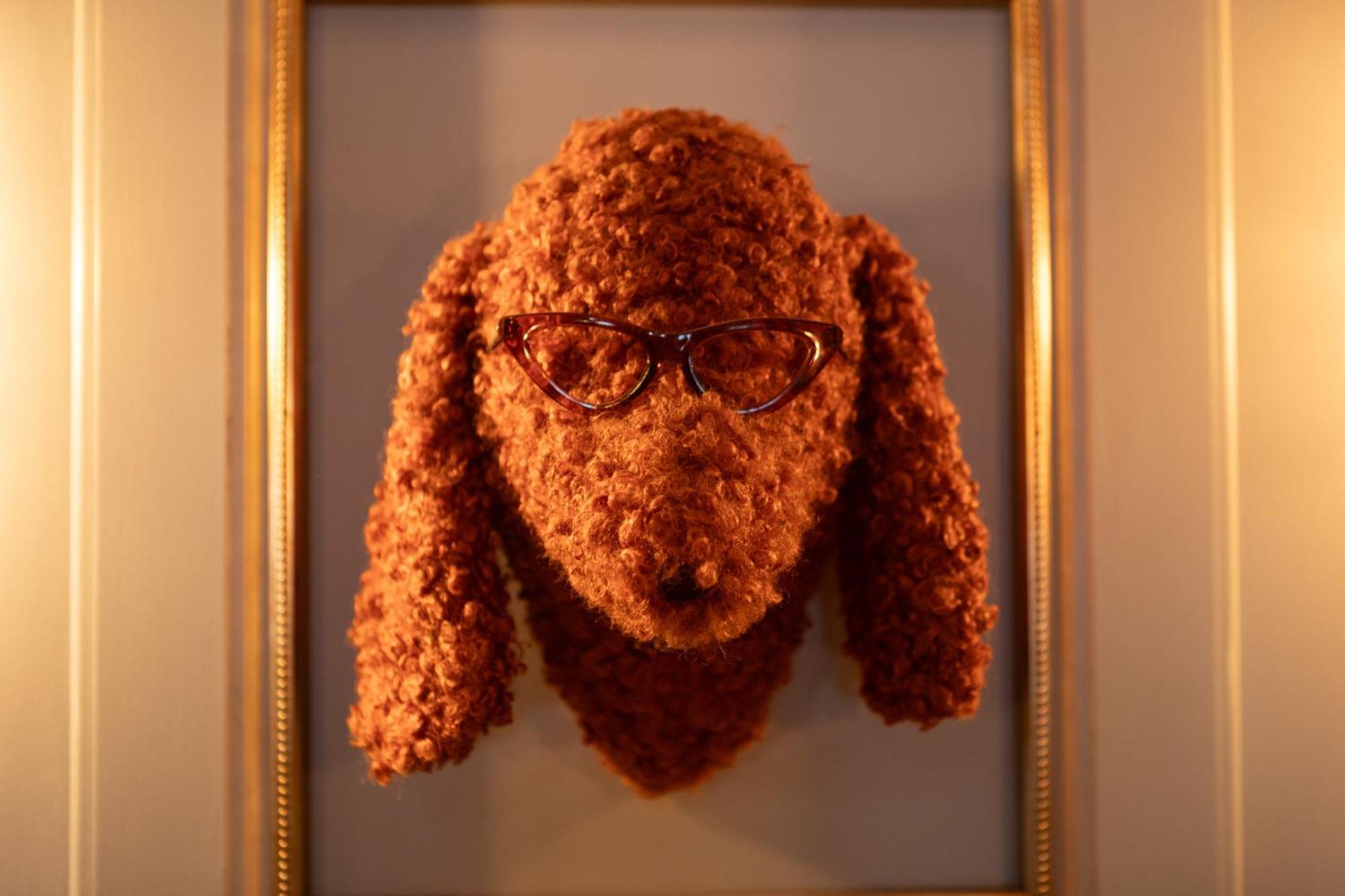 Bed and Breakfast Mount Edgcumbe Royal Tunbridge Wells Exterior foto A taxidermy dog head mounted on a wall